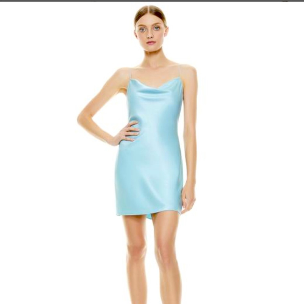 Alice and Olivia slip dress 0 worn once- harmony  style